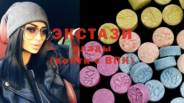 ECSTASY Ельня