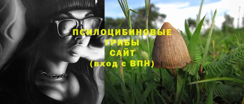 Псилоцибиновые грибы MAGIC MUSHROOMS  Александровск 